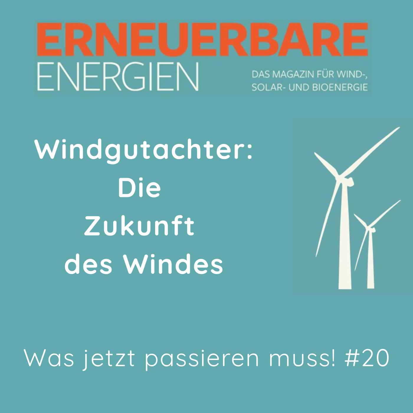 Windgutachter zwischen Windklau und Klimawandel