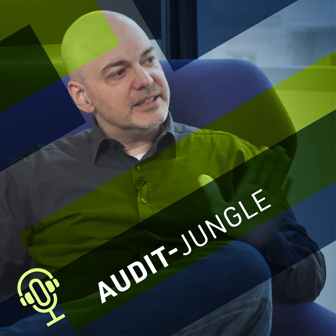 Audit-Jungle