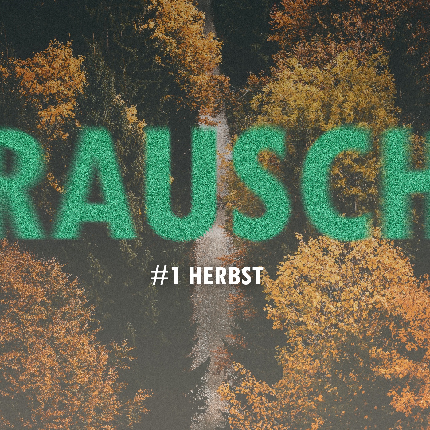 #1.6 Immer Ärger Mit Harry: Tea Time