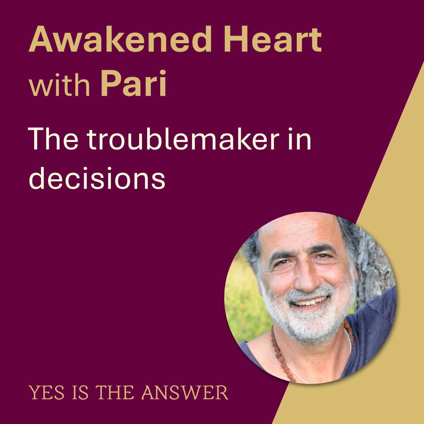 The troublemaker in decisions