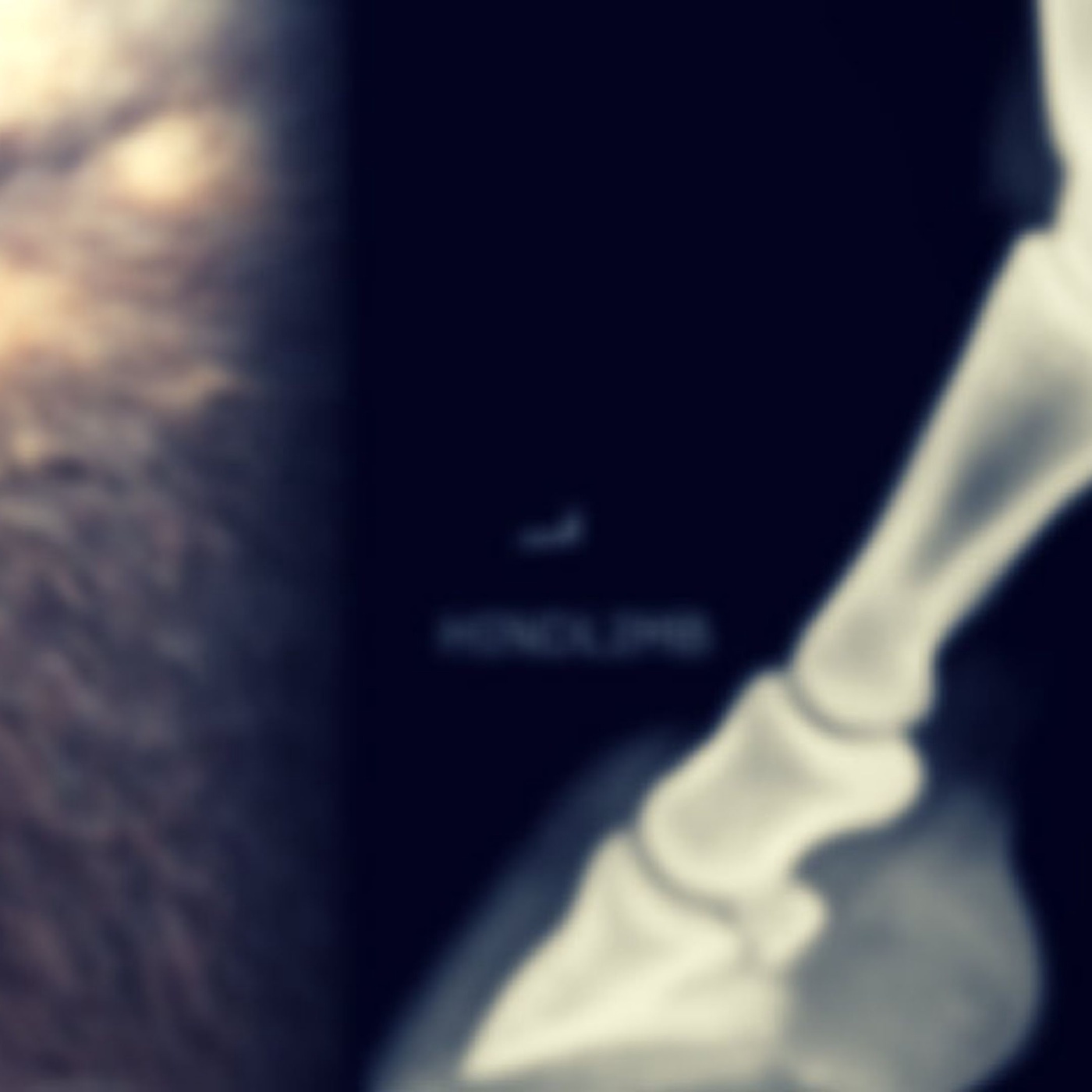 Überlegst du dir ein Pferd zu kaufen?