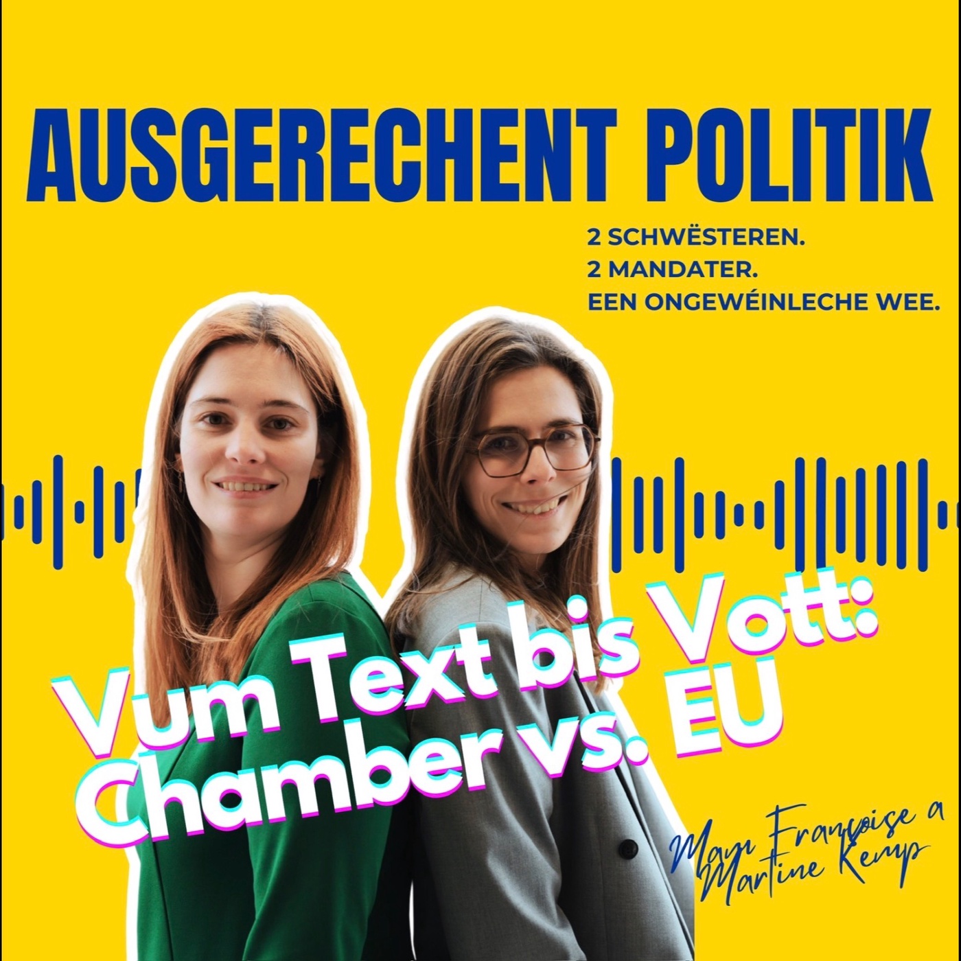 Vum Text bis Vott: Chamber versus EU-Parlament