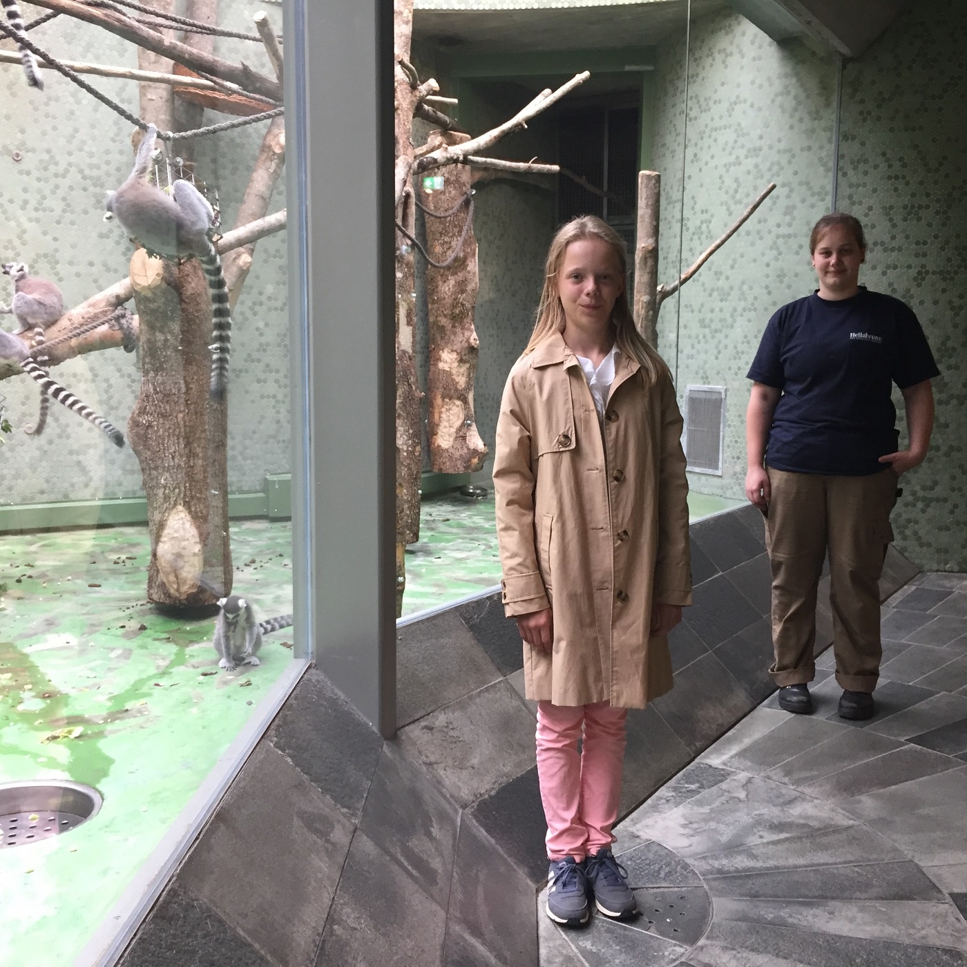 Ein Besuch bei den Affen im Zoo.