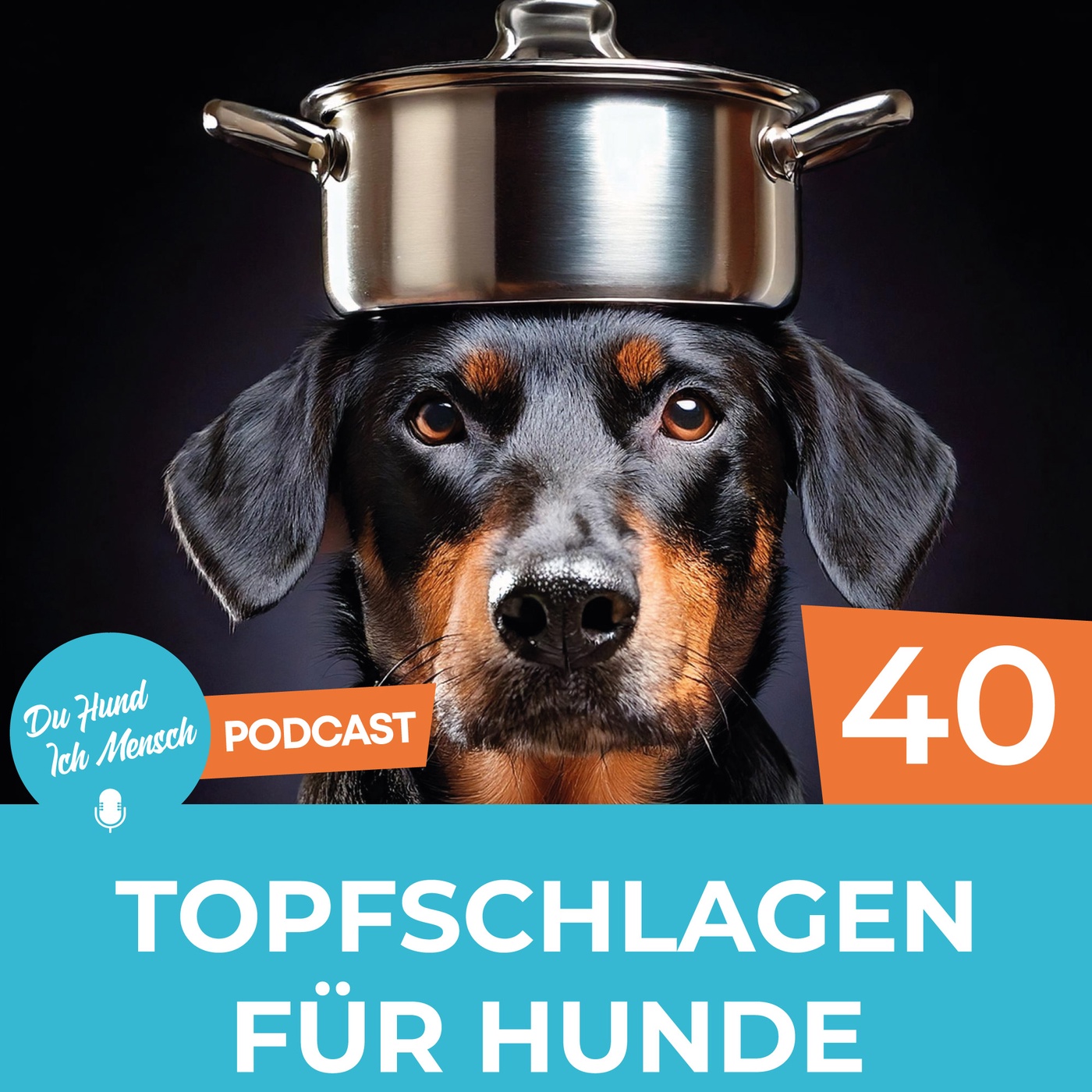 40# Topfschlagen für Hunde