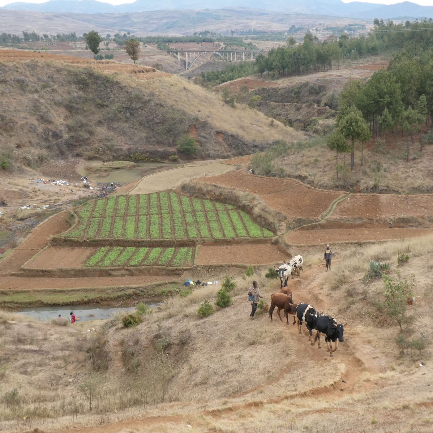 Madagaskar: zentrales Hochland