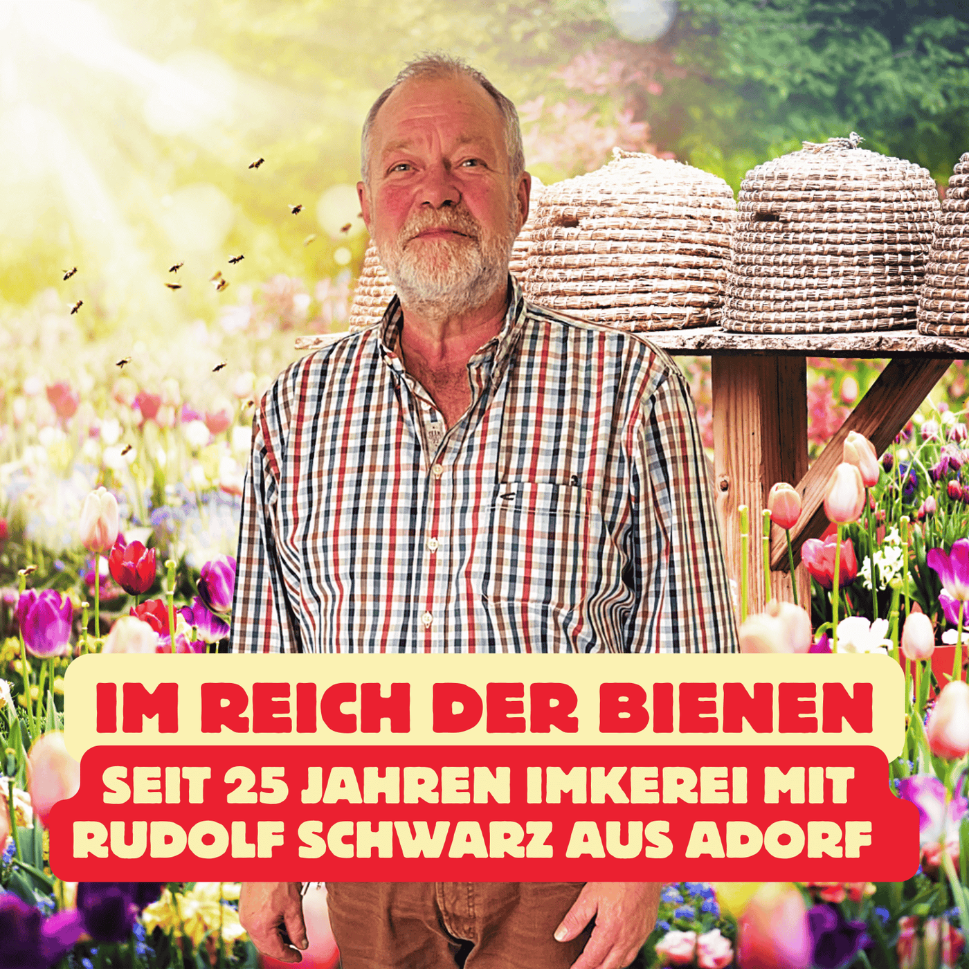 Folge 186: Im Reich der Bienen - seit 25 Jahren Imkerei mit Rudolf Schwarz aus Adorf