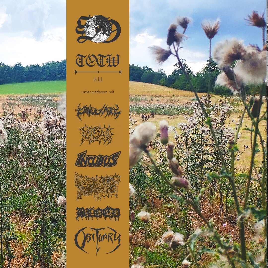 SOD - 19 - TOTW Juli 2025