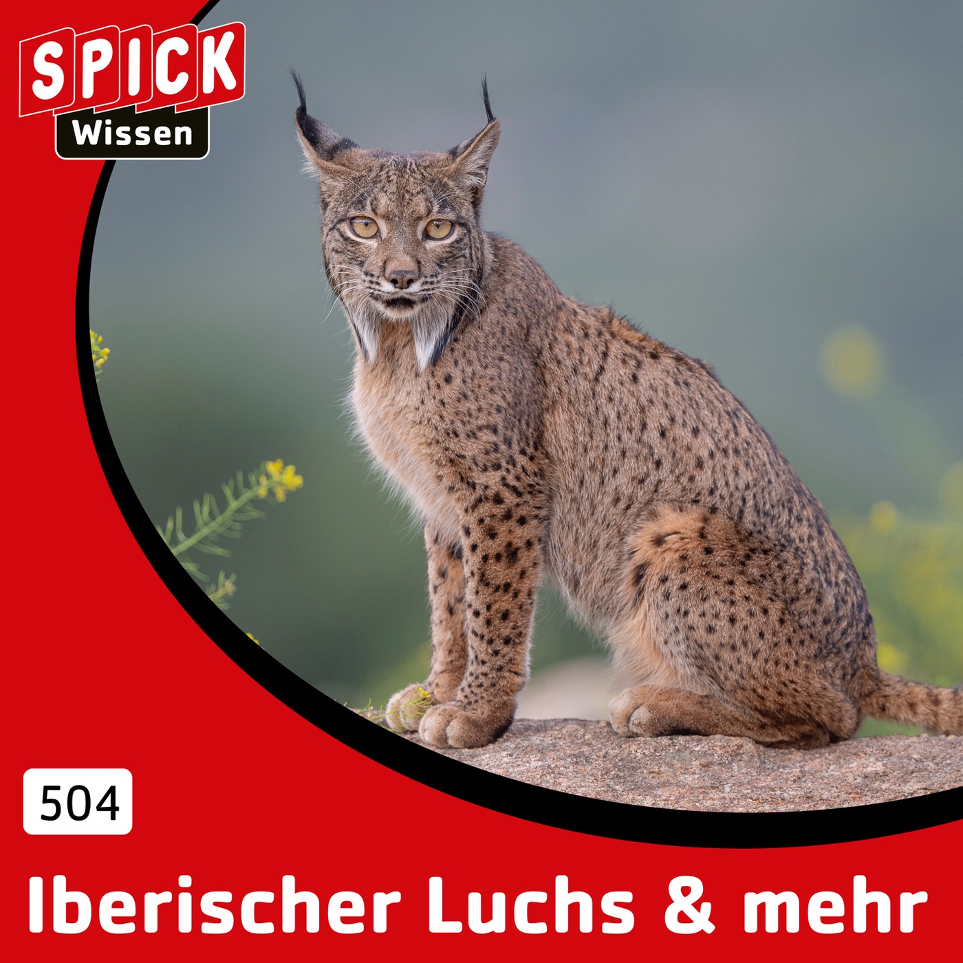 Luchs & mehr