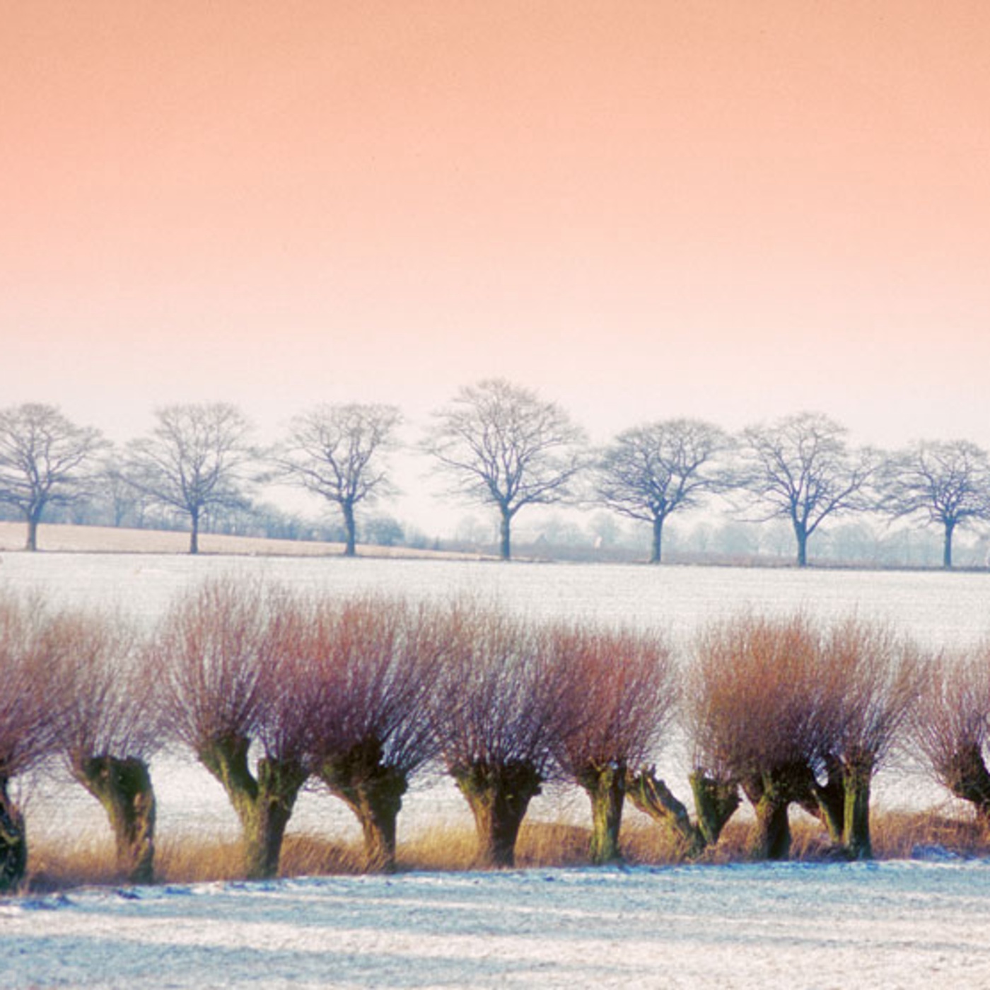 Sehnsucht nach Stille.