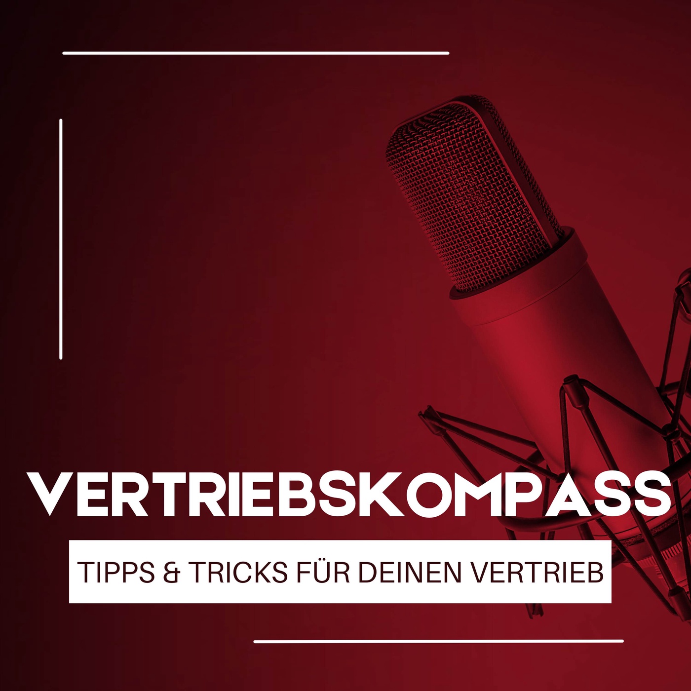 Vertriebskompass