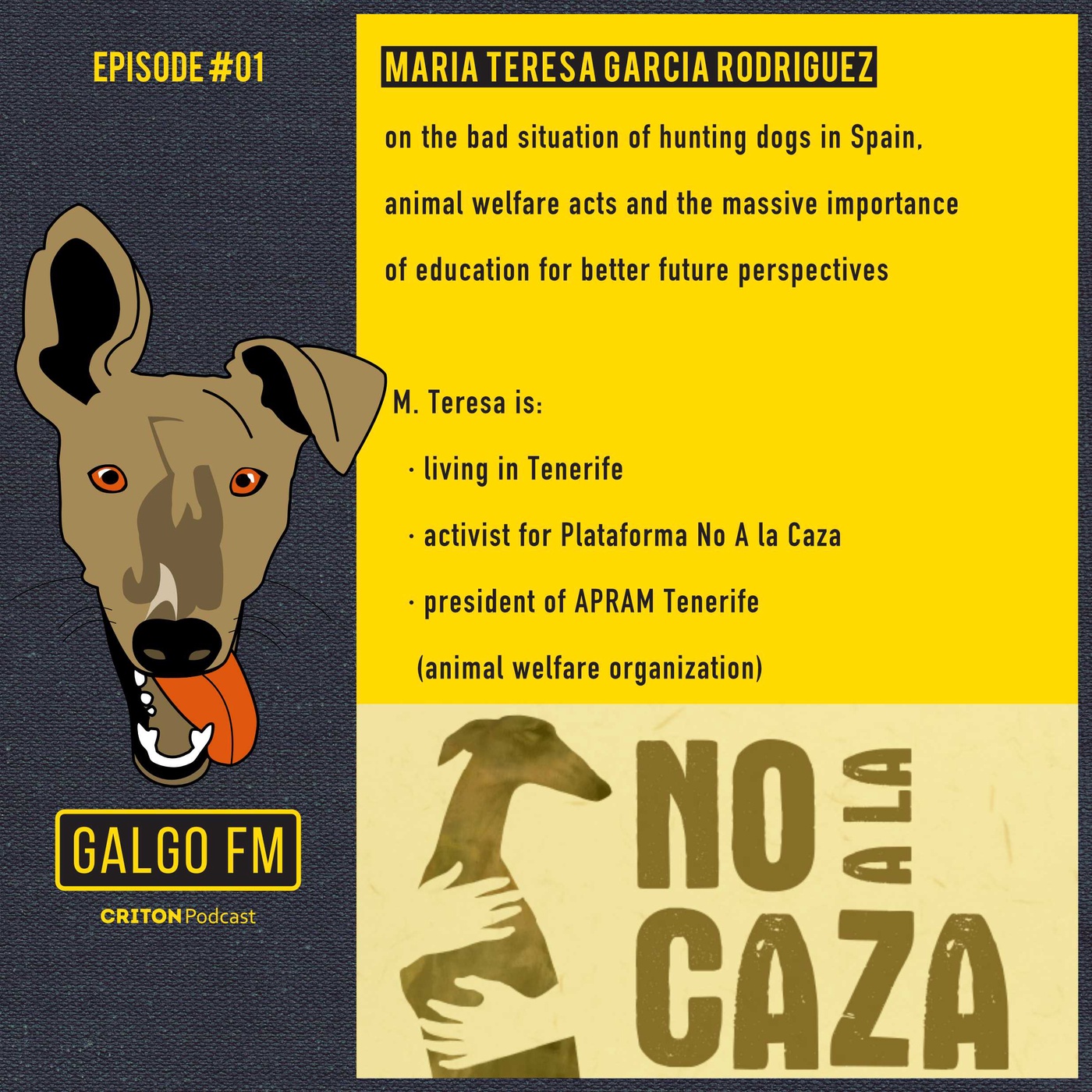 S01E01 English | GALGO FM | Teresa - Plataforma NAC