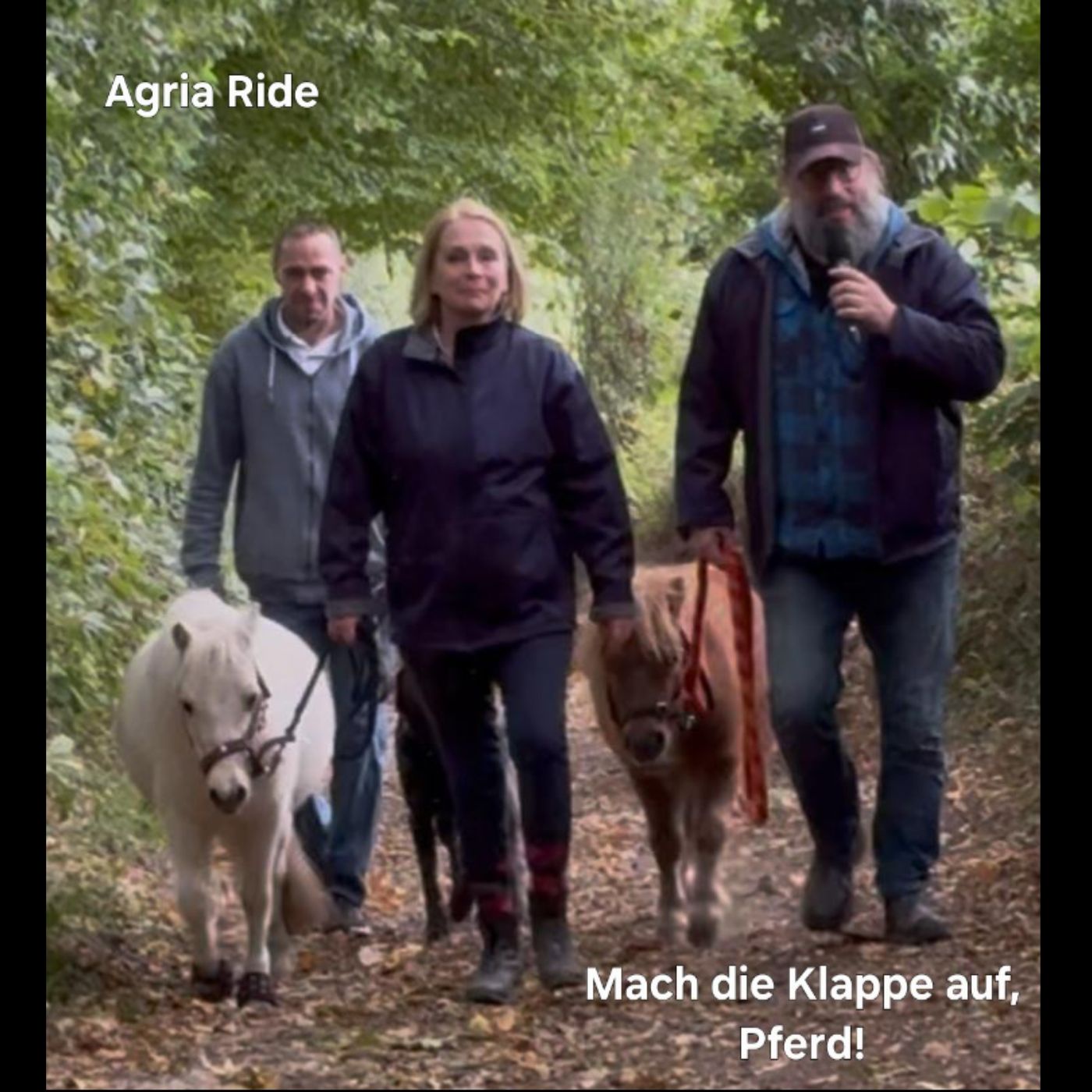 Mach die Klappe auf, Pferd! Folge 12
