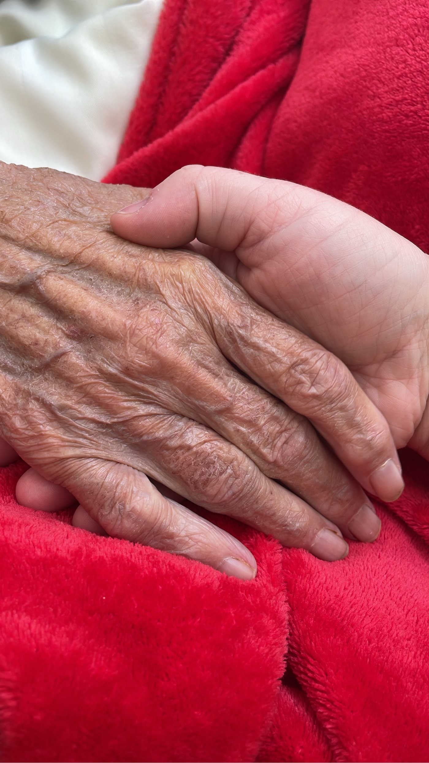 Folge 3 Am Lebensende 