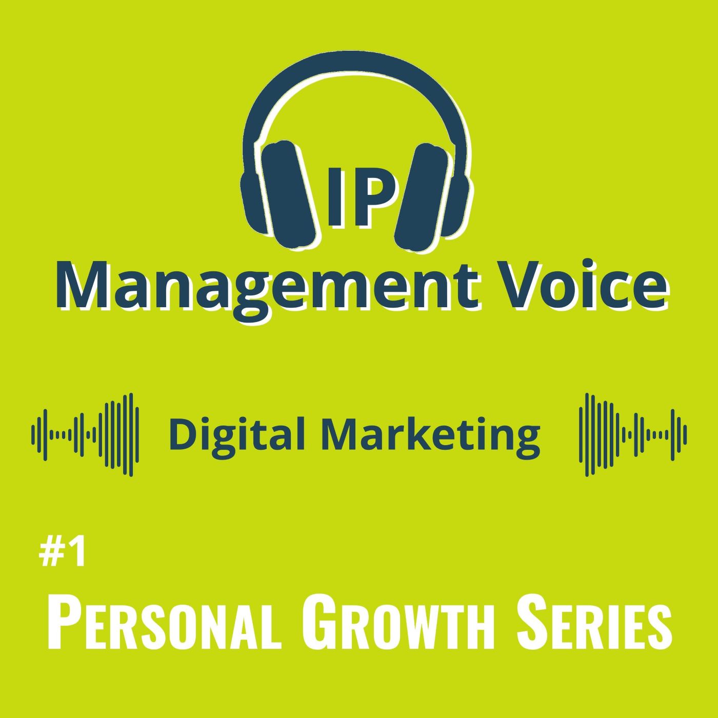 #1 Digital Marketing for IP Experts