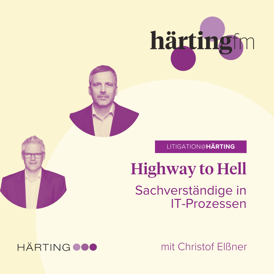 Highway to Hell – Sachverständige in IT-Prozessen