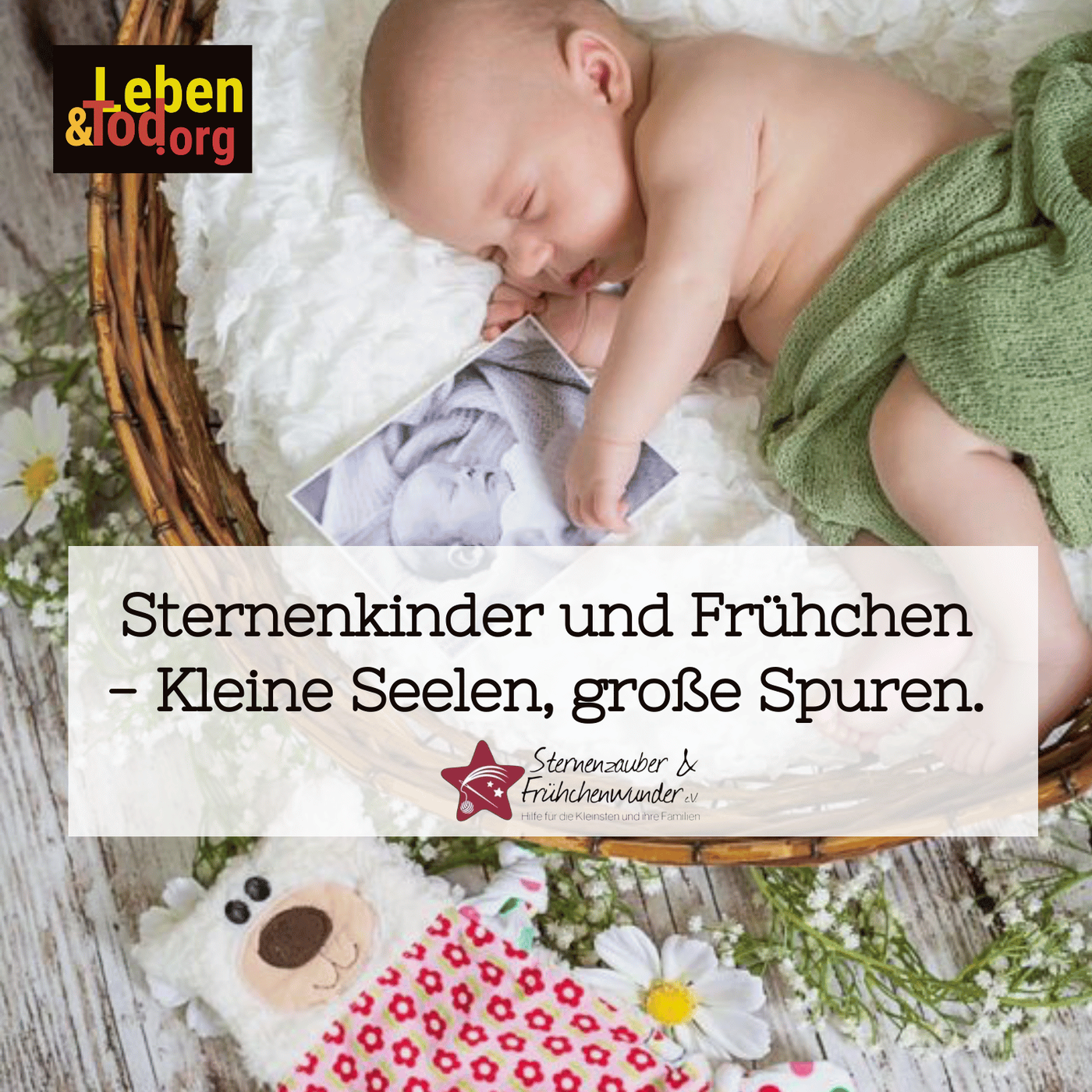 17 Sternenkinder und Frühchen - Kleine Seelen, große Spuren