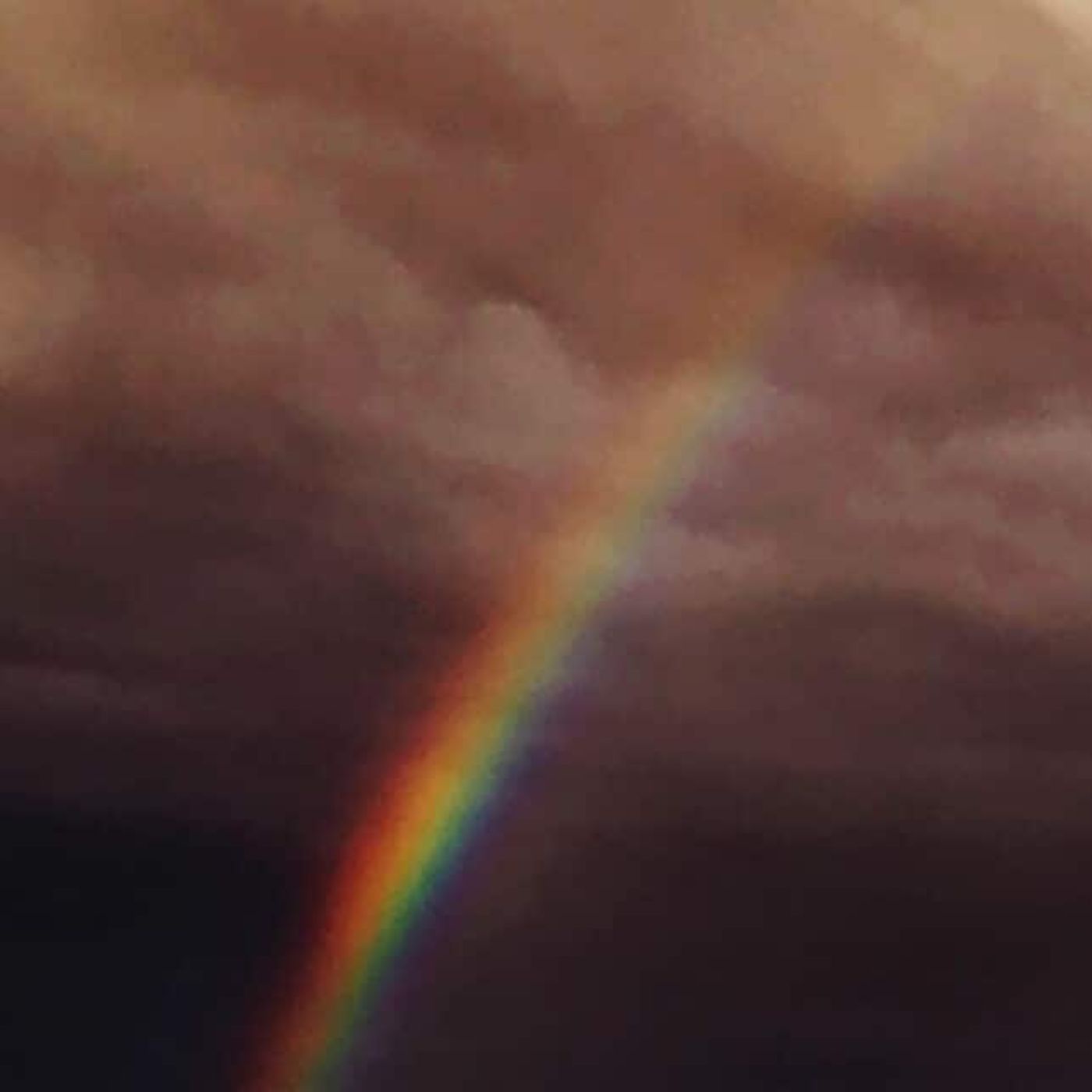 33 Kunstrauschen - Rochelle Feinstein