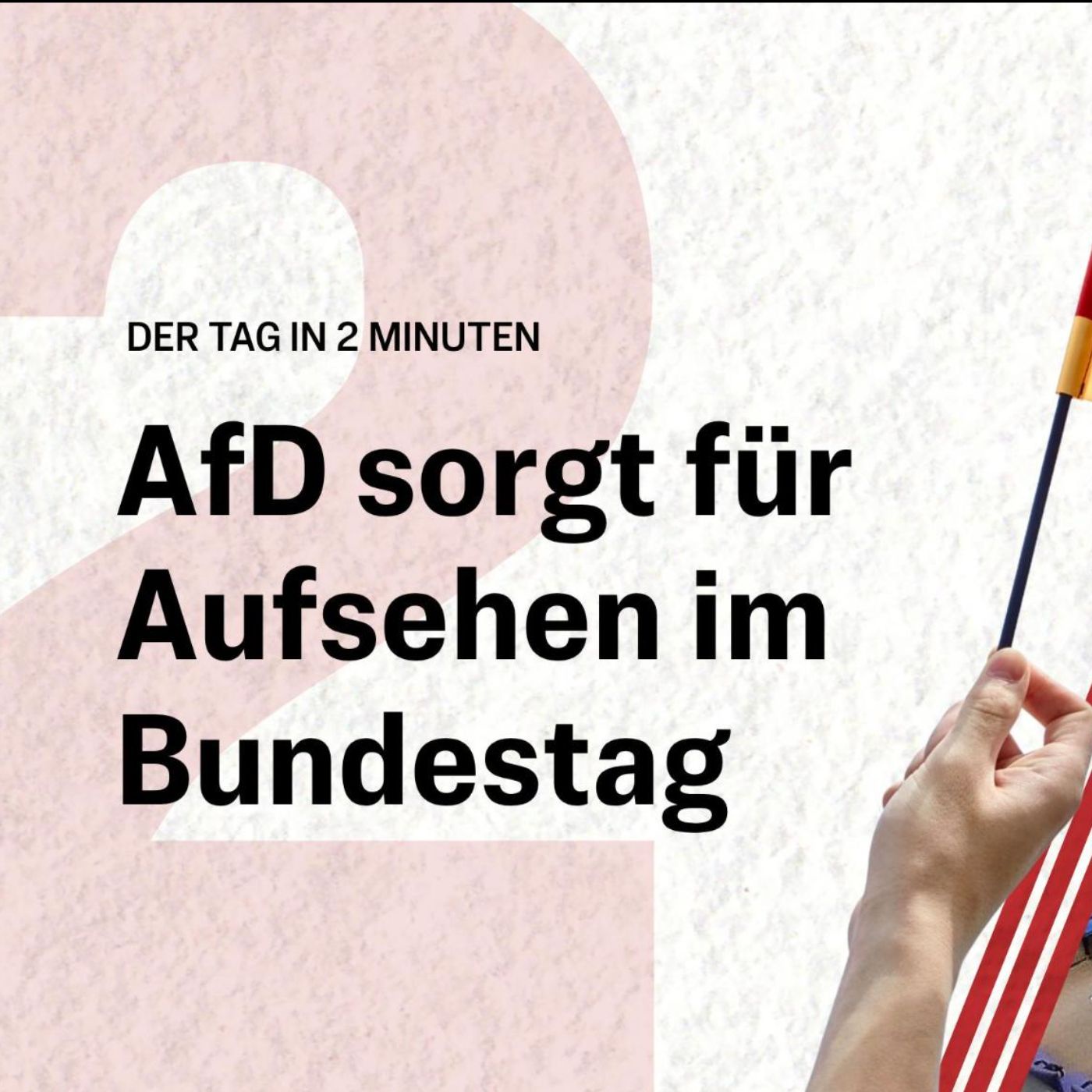 Darum wurde es für die AfD plötzlich ernst | Der Tag in 2 Minuten