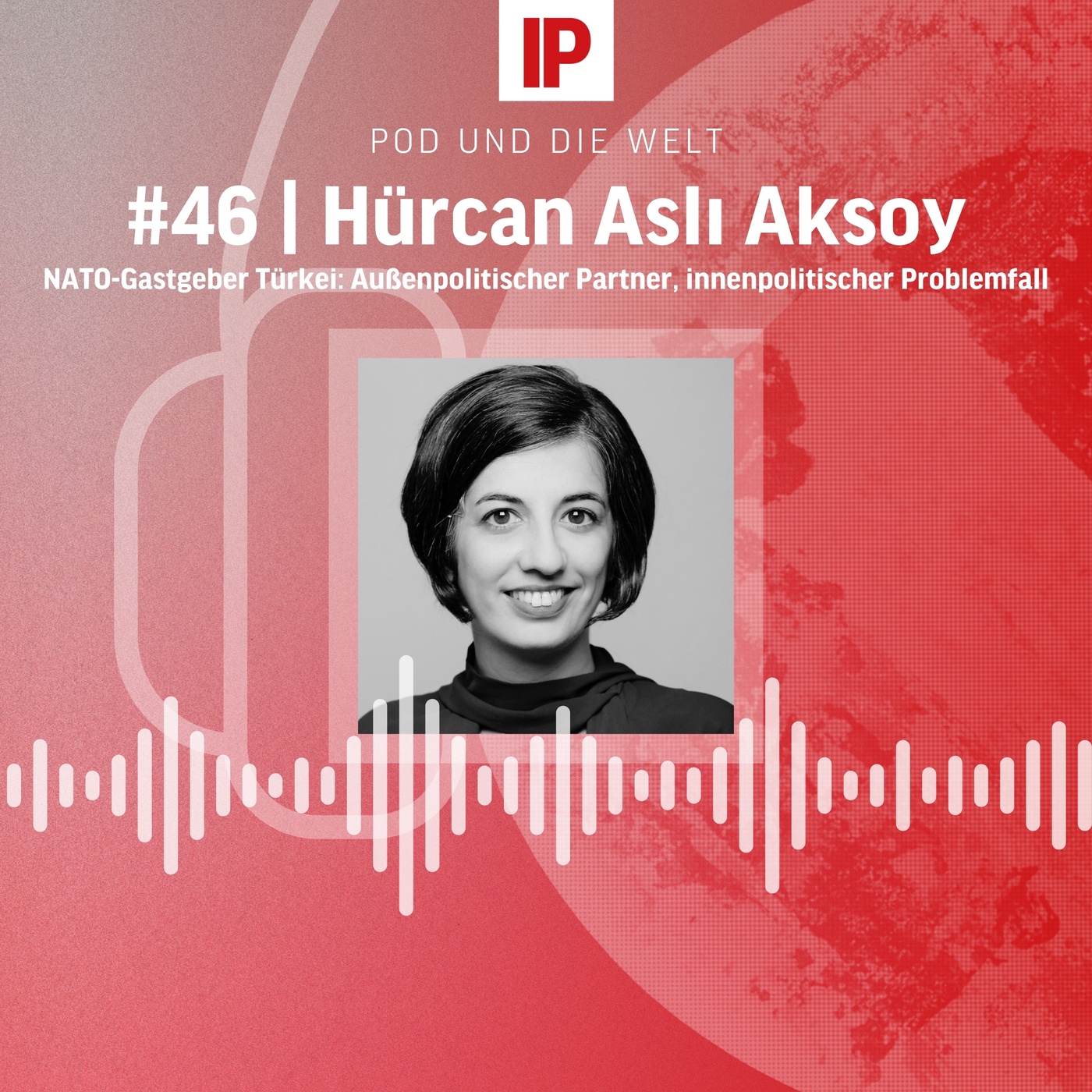 NATO-Gastgeber Türkei: Außenpolitischer Partner, innenpolitischer Problemfall (mit Hürcan Aslı Aksoy)
