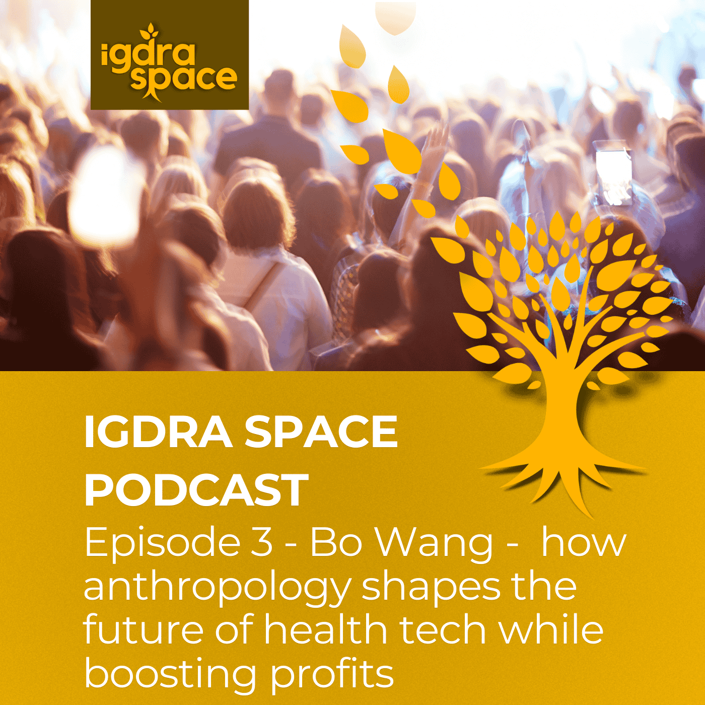 S2/E3 - Bo Wang -  how anthropology shapes the future of health tech while boosting profit