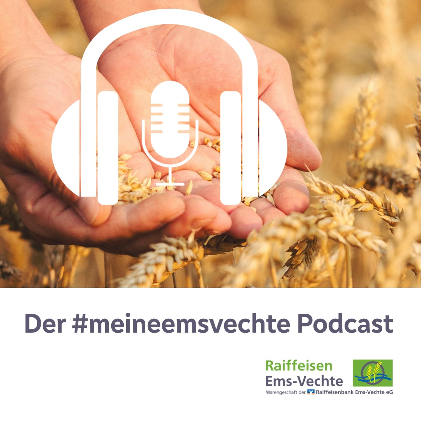 Der #meineemsvechte Podcast