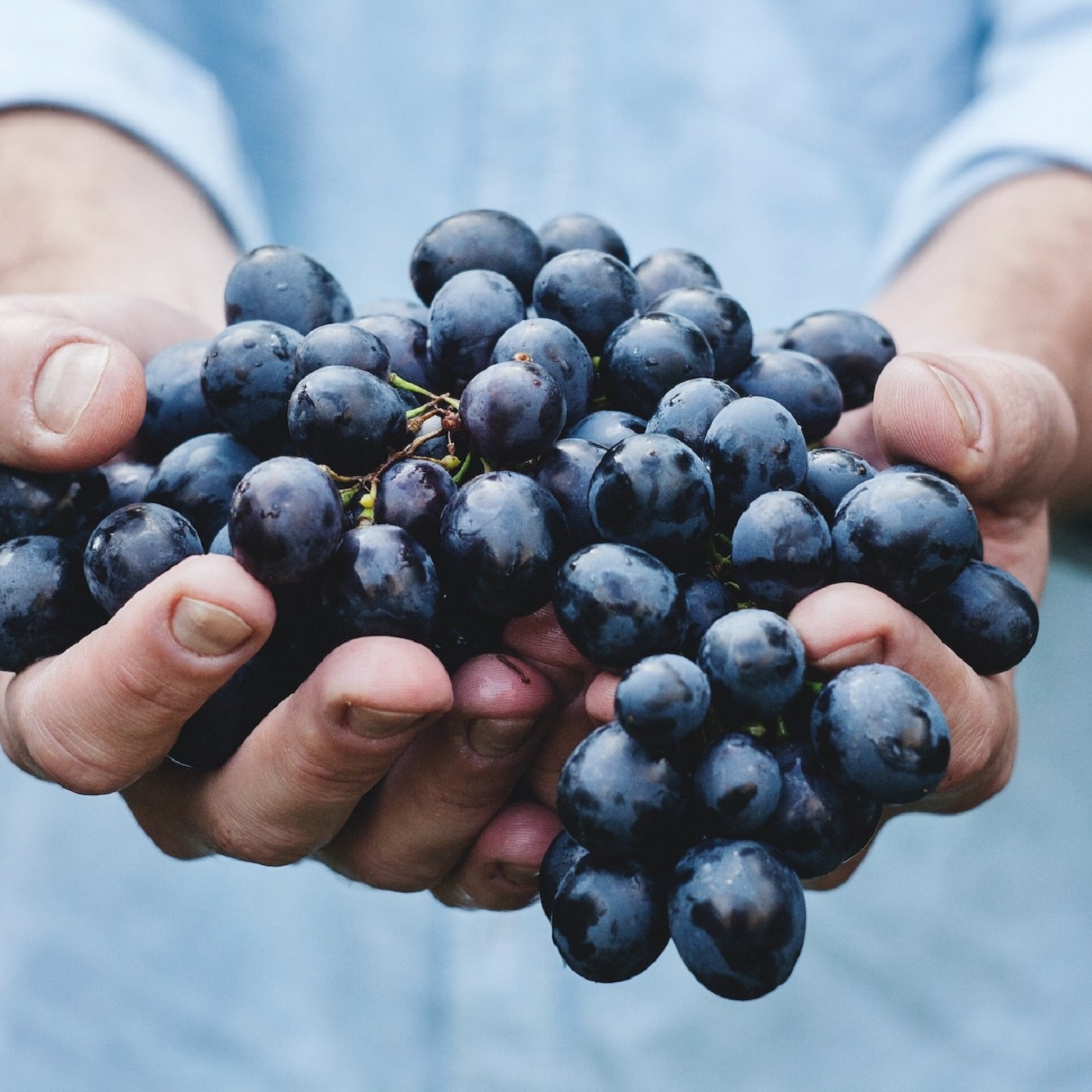 Nun preiset alle Gottes Barmherzigkeit (EG 502)