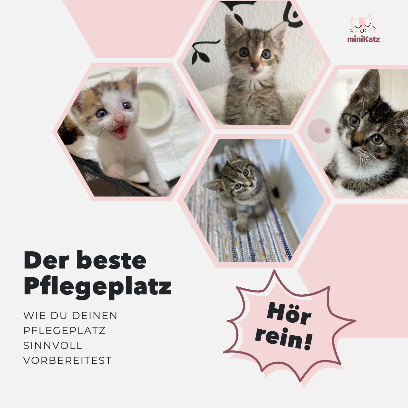 Der beste Pflegeplatz