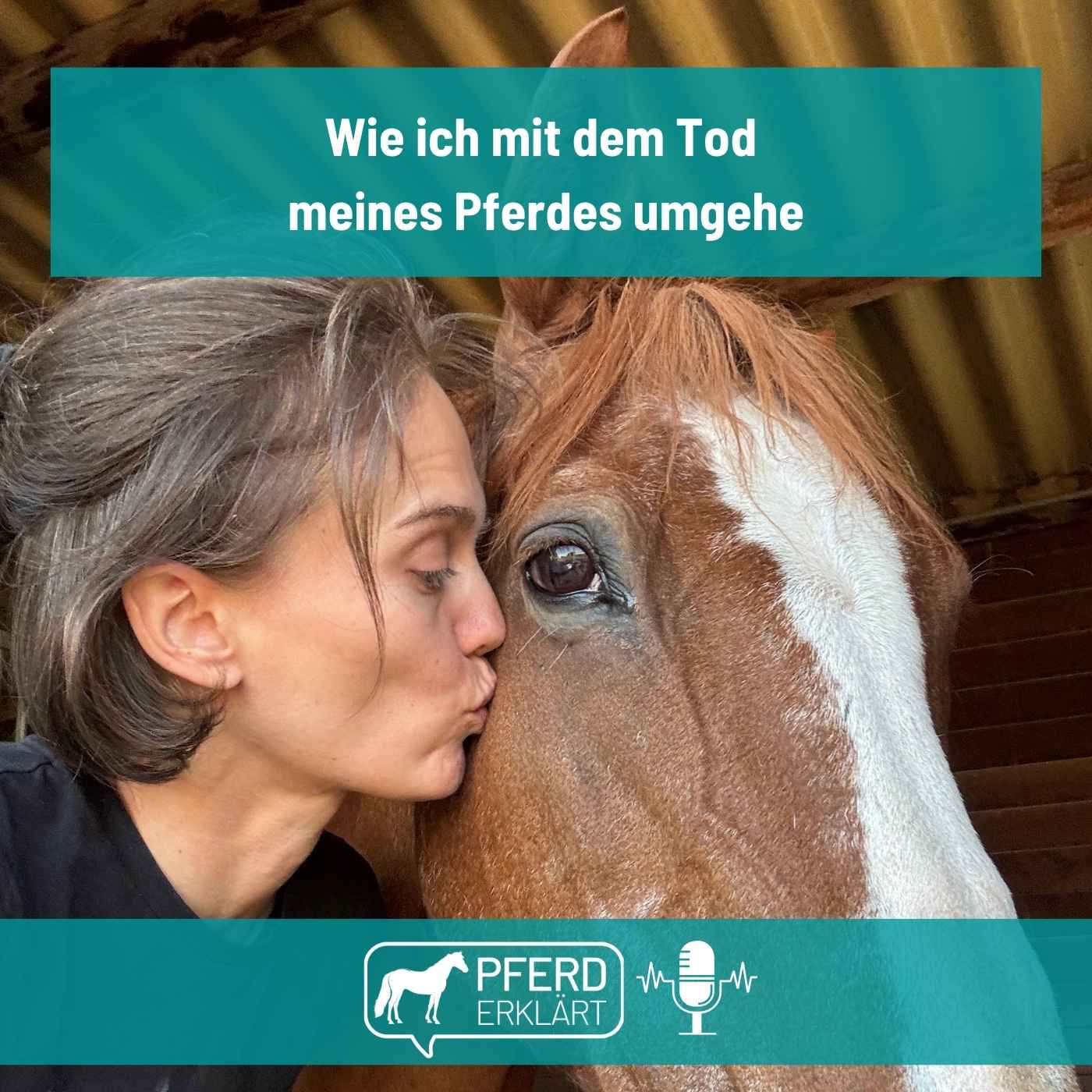 Wie ich mit dem Tod meines Pferdes umgehe