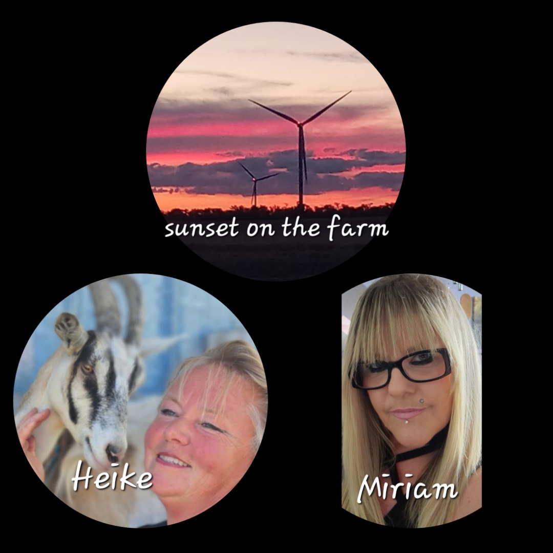 Das Leben als Auswanderer in Kanada / die erste Zeit auf der Farm Teil 2