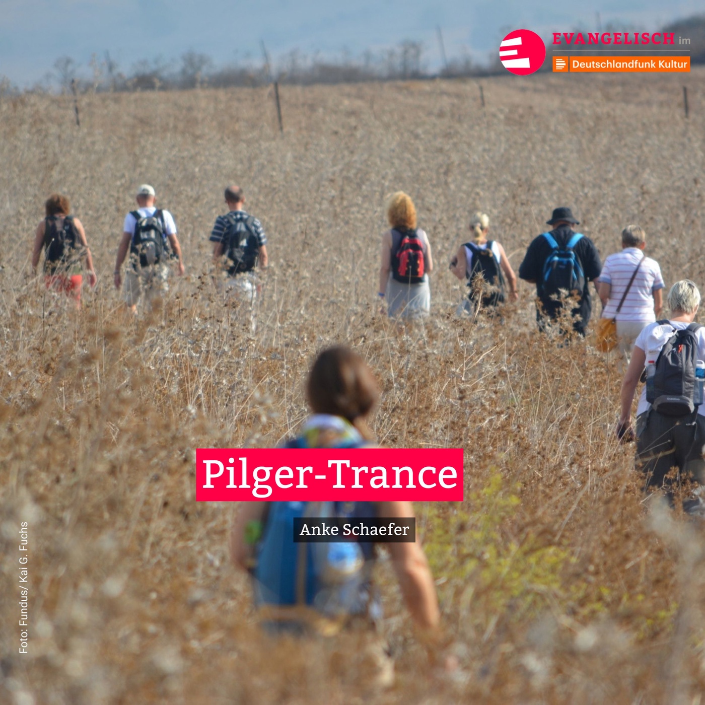 Pilger-Trance