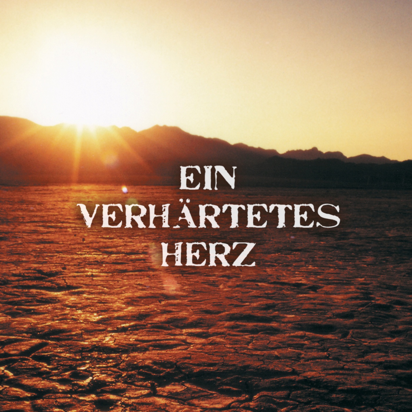 Ein verhärtetes Herz: Folge 06