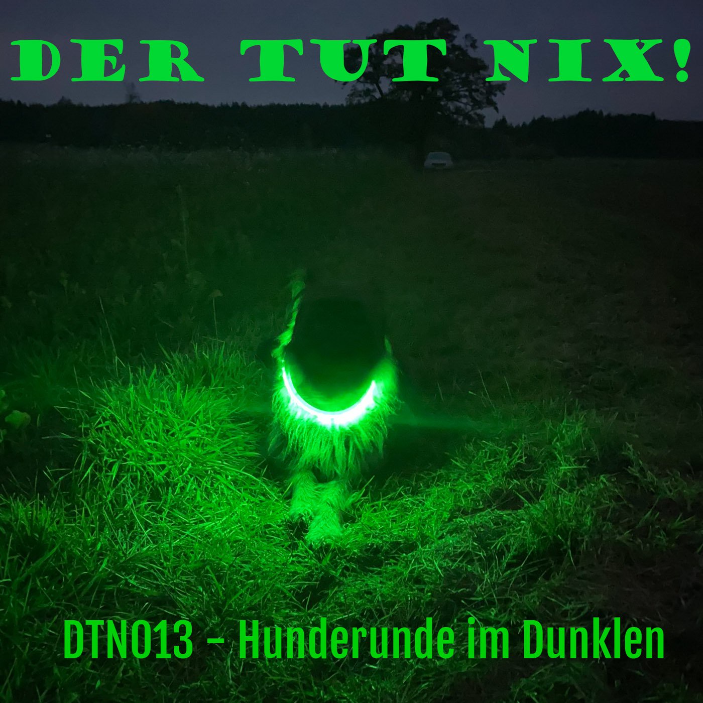 DTN013 - Hunderunde im Dunklen