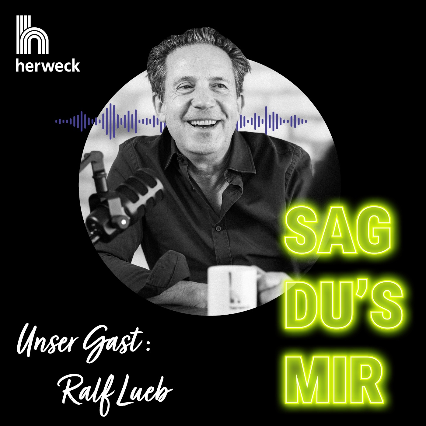 Sag Du's mir! Jörg Herweck und Ralf Lueb