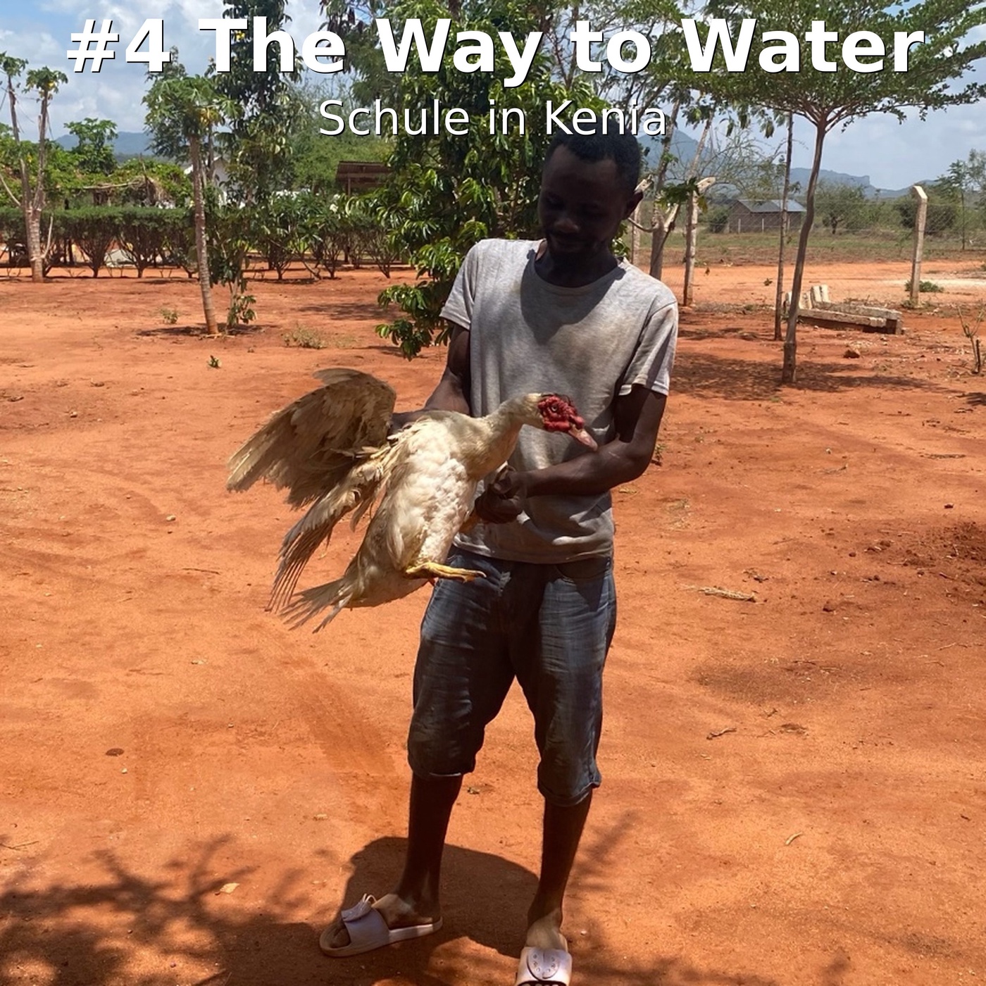 #4 The Way to Water: Lebensnahe Schule in  Landi