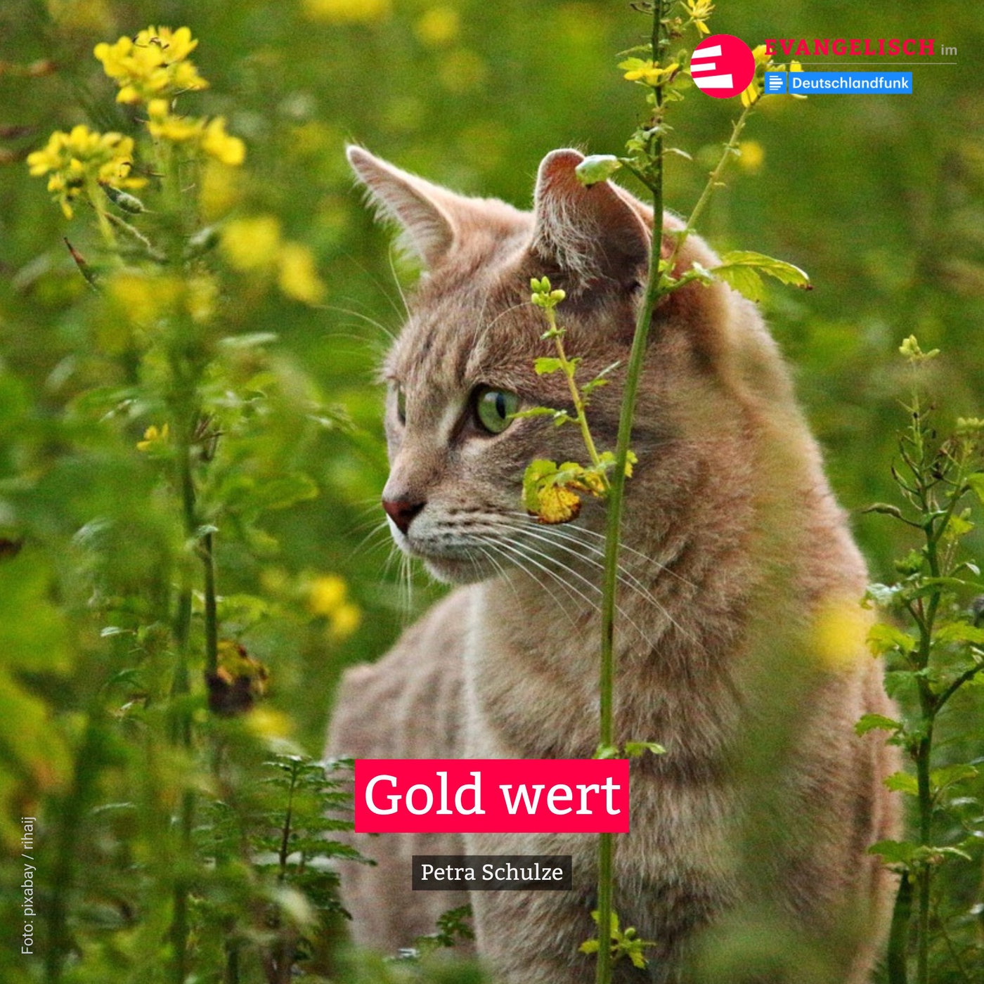 Gold wert