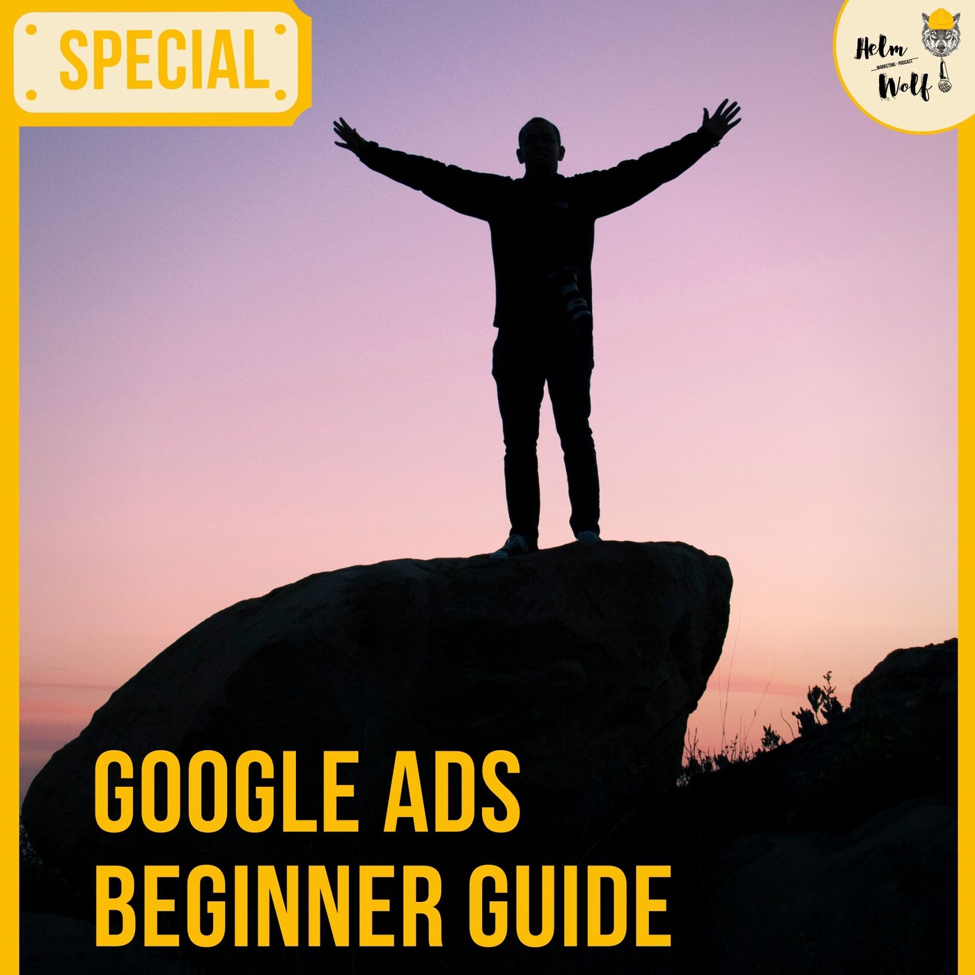Der Große Google Ads Beginner Guide 2020 | #80 Helmwolf Marketing Podcast