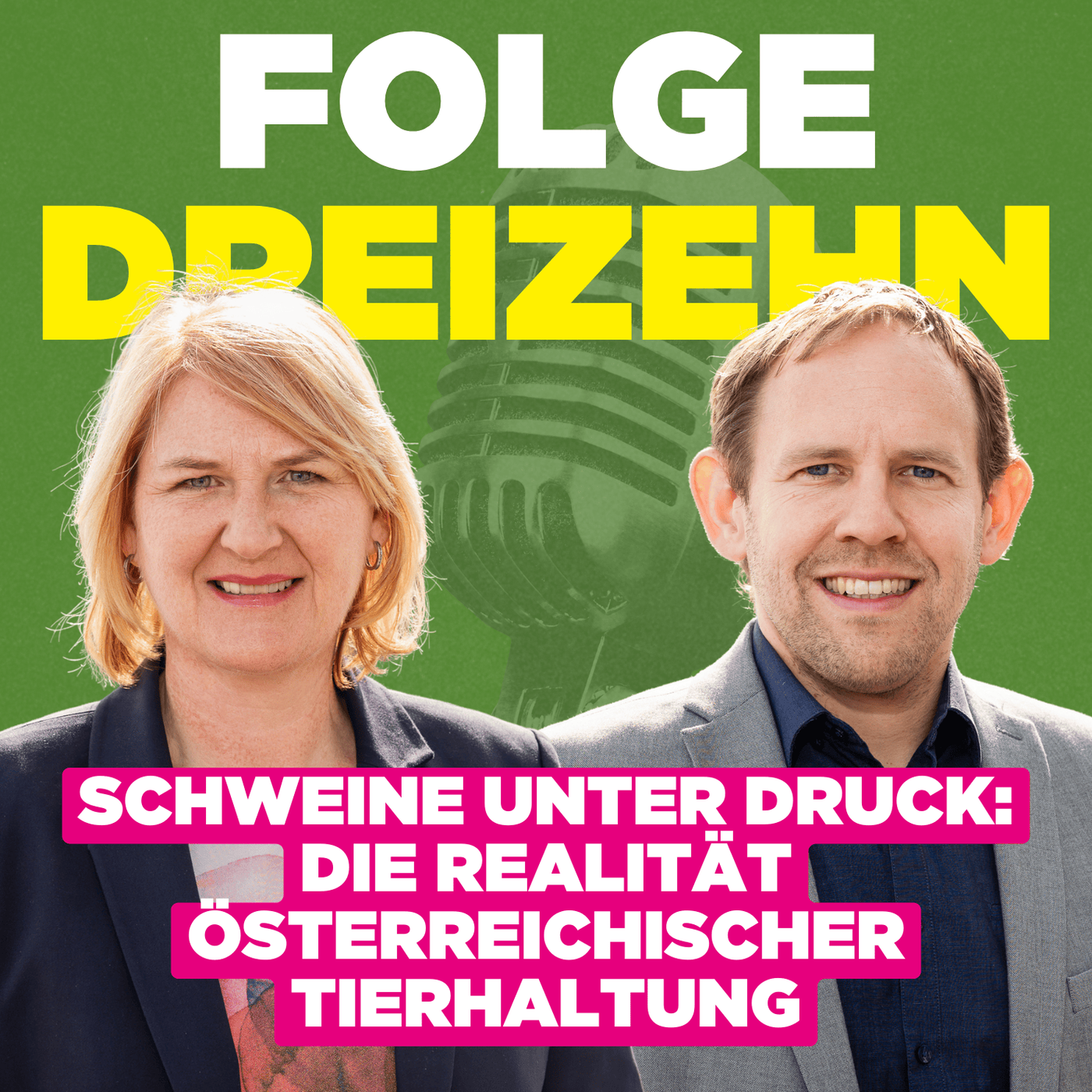 Schweine unter Druck: Ein AMA-Skandal und die Realität österreichischer Tierhaltung