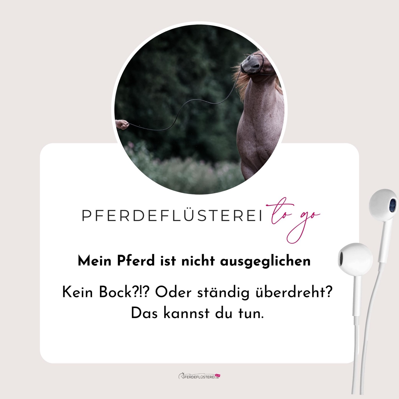 Warum dein Pferd keine Motivation hat 