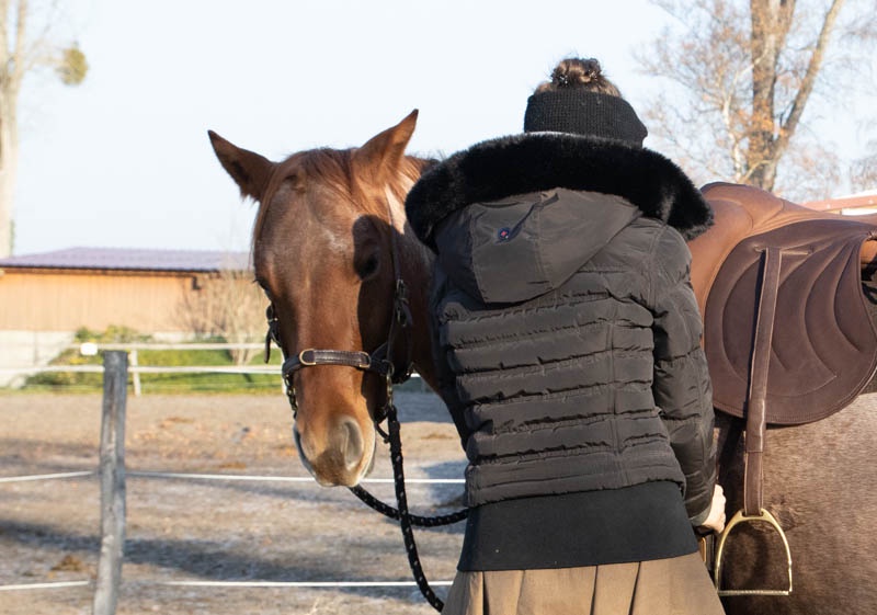 3 Punkte gegen Stress beim Pferd