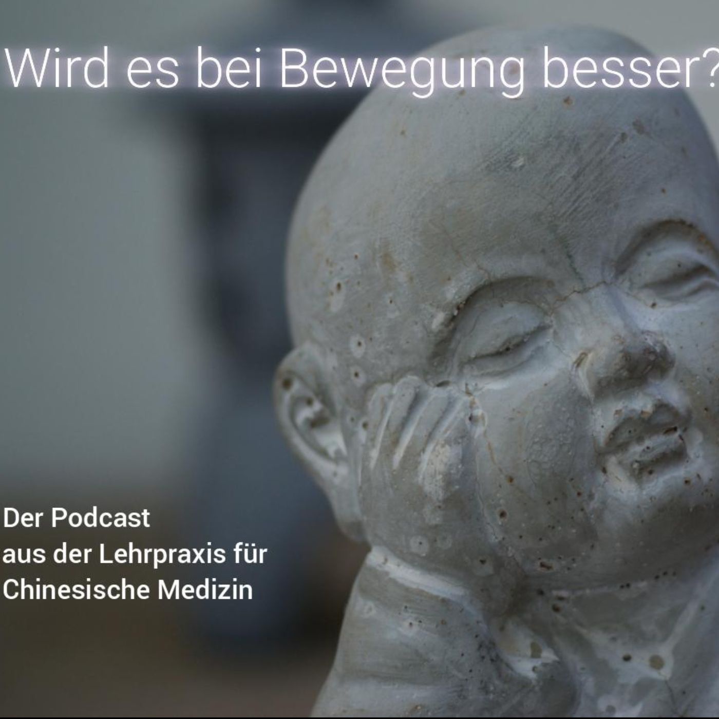 Wird es bei Bewegung besser? - Der Podcast aus der Lehrpraxis für Chinesische Medizin