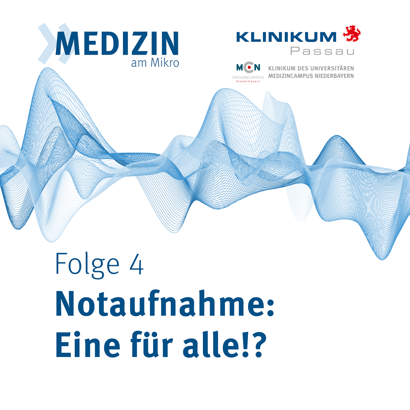 Notaufnahme: Eine für alle!?