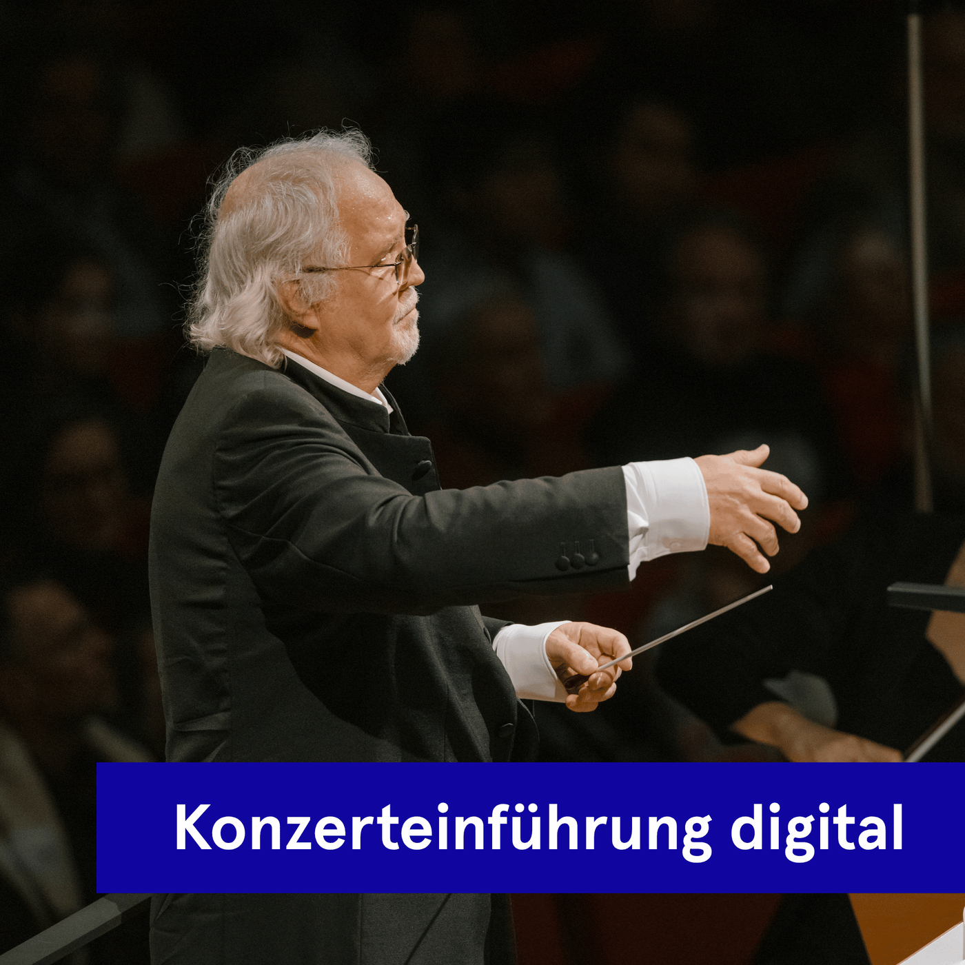 Digitale Konzerteinführung | Carmina Burana
