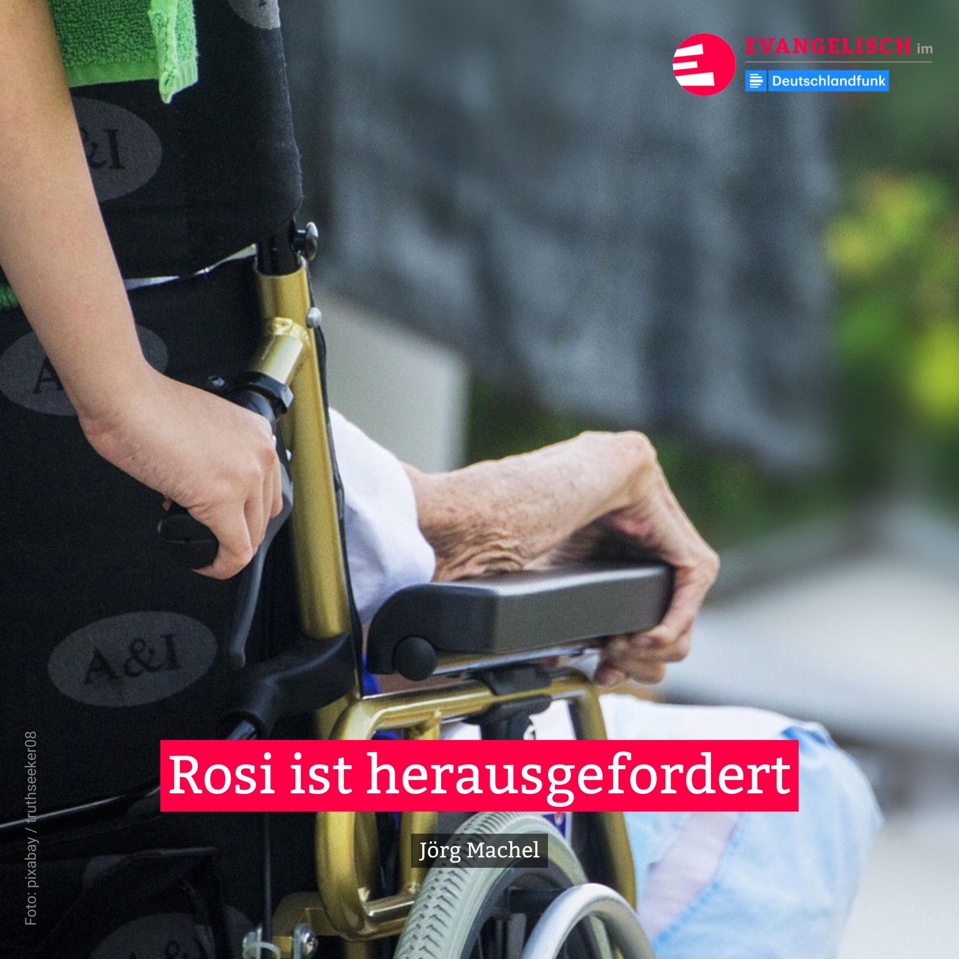Rosi ist herausgefordert