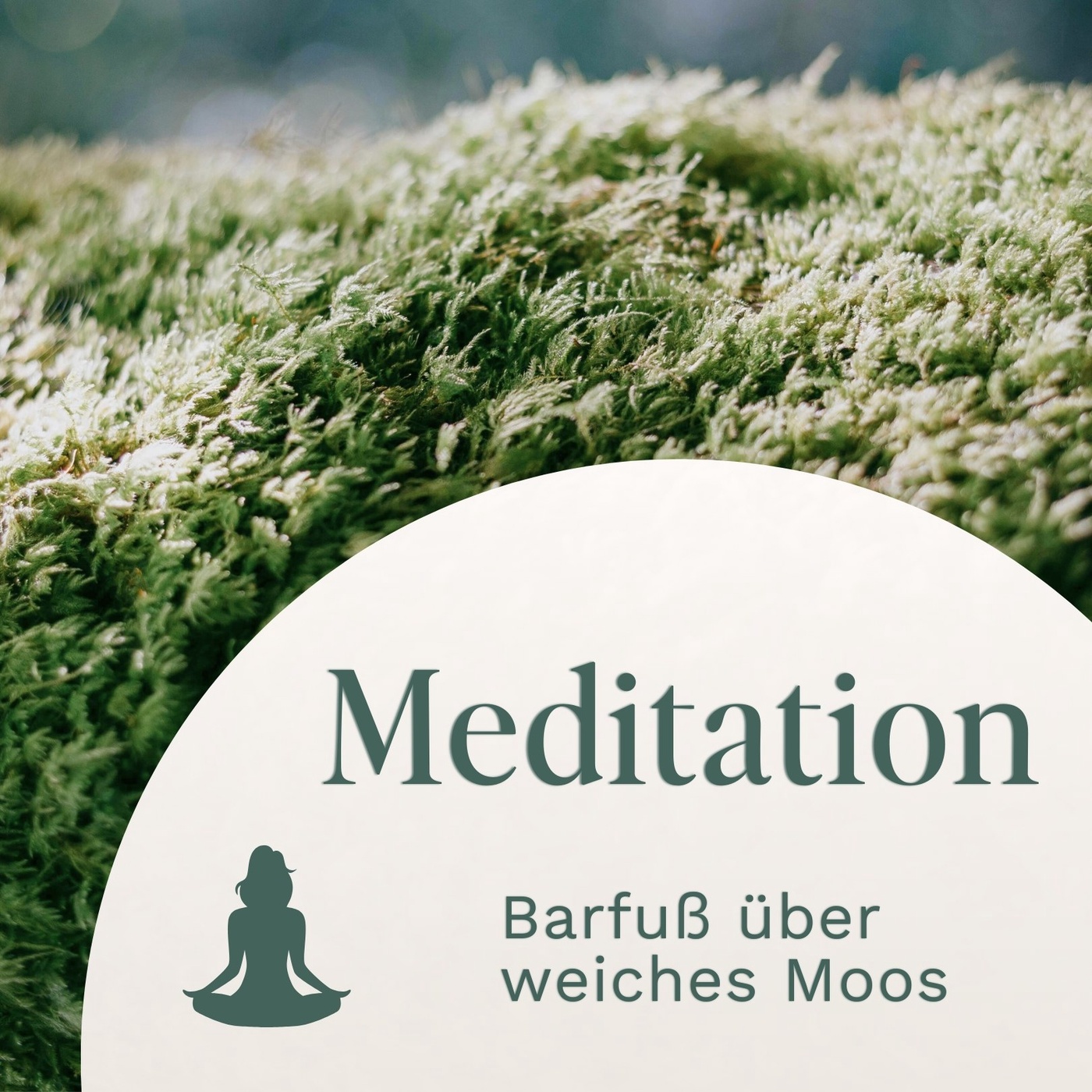 Meditation // Barfuß über weiches Moos