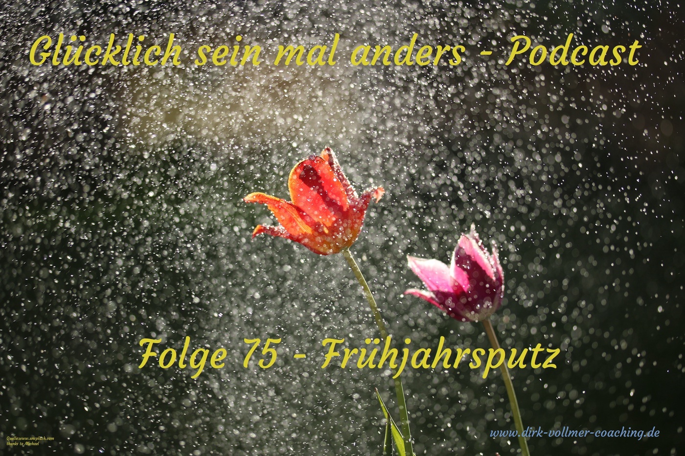 Folge 75 - Frühjahrsputz