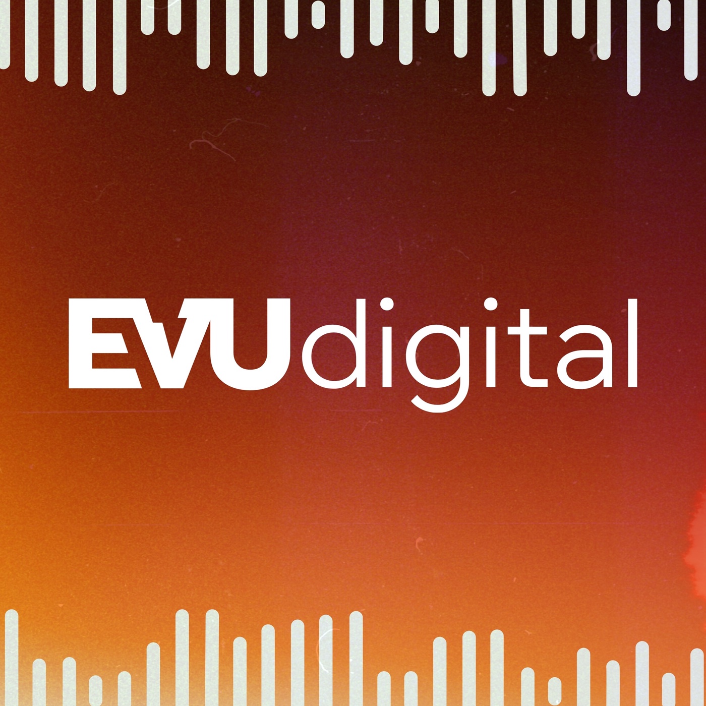 EVU Digital #1 mit Roland Hambach von ene't
