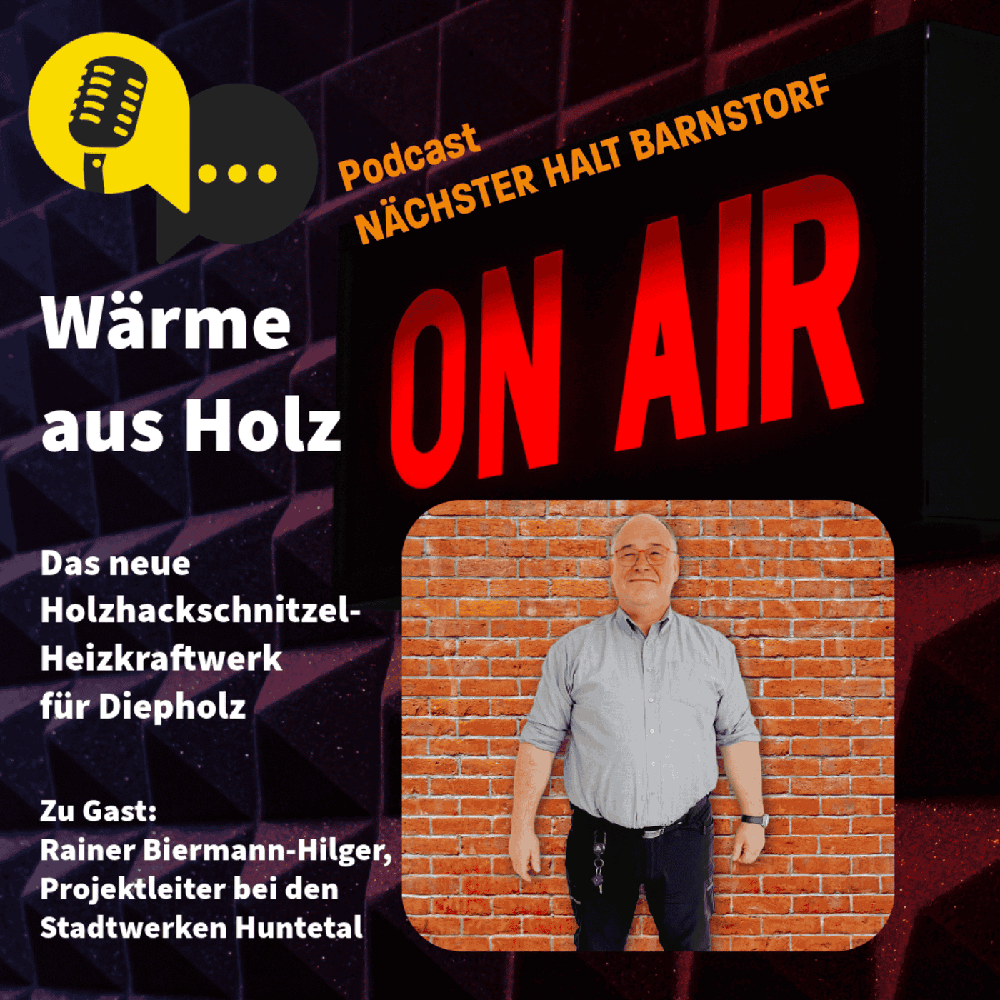 Folge 91: Wärme aus Holz – Das neue Holzhackschnitzel-Heizkraftwerk für Diepholz