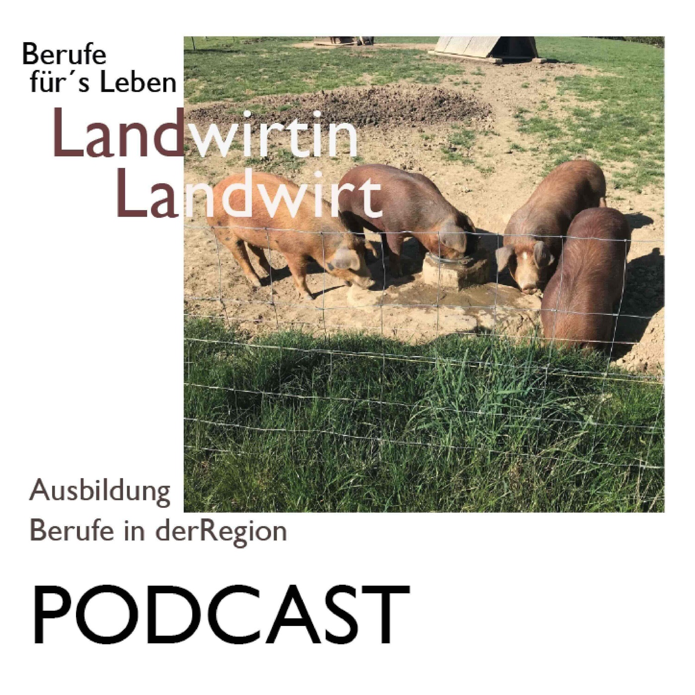 Der schönste Beruf der Welt