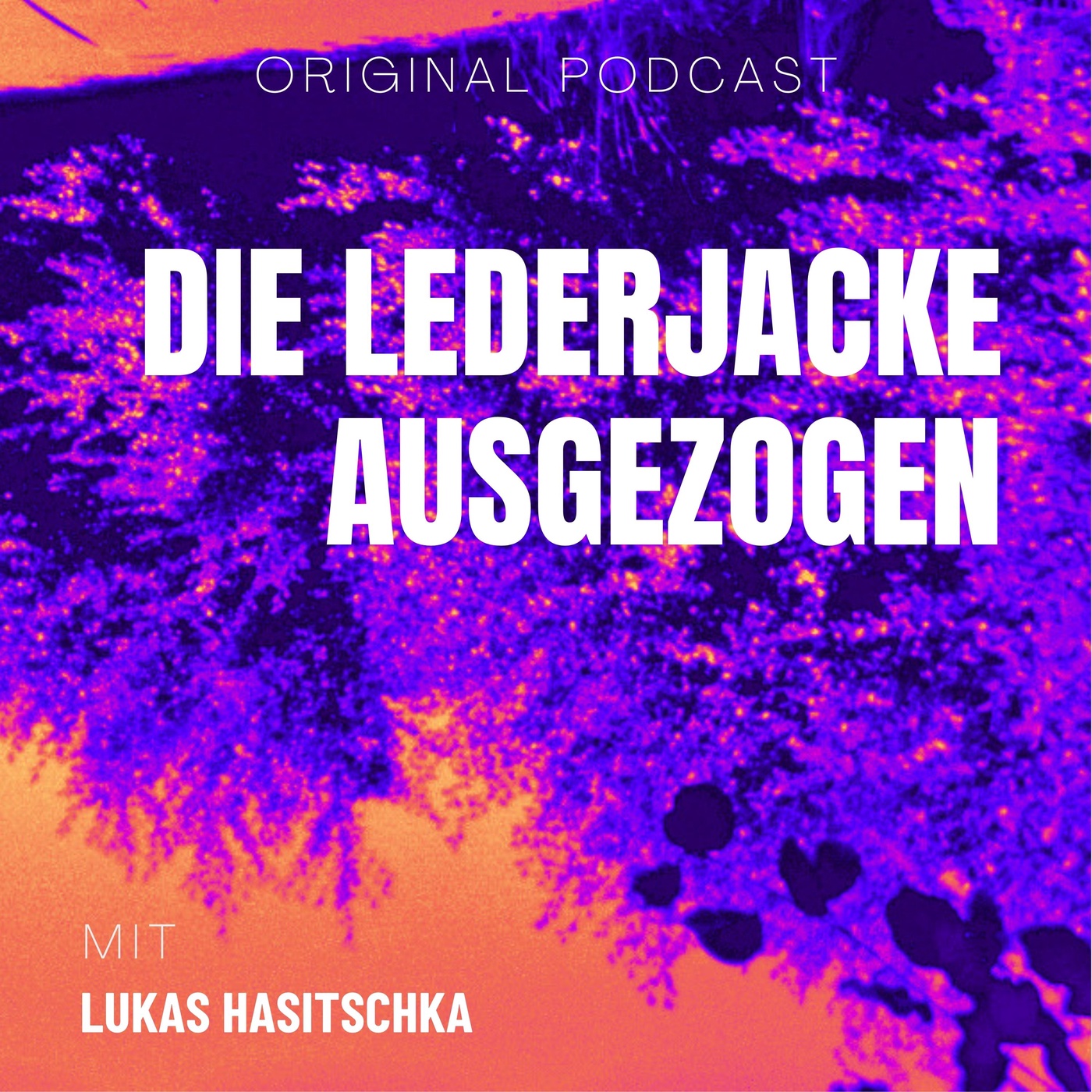Die Lederjacke Ausgezogen – mit Lukas Hasitschka