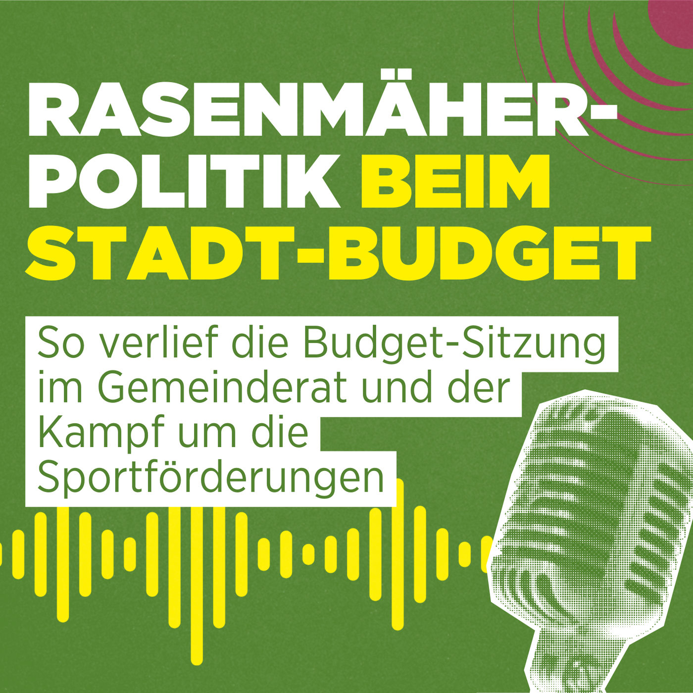 Rasenmäher-Politik: So verlief die Budget-Sitzung im Gemeinderat und der Kampf um die Sportförderungen